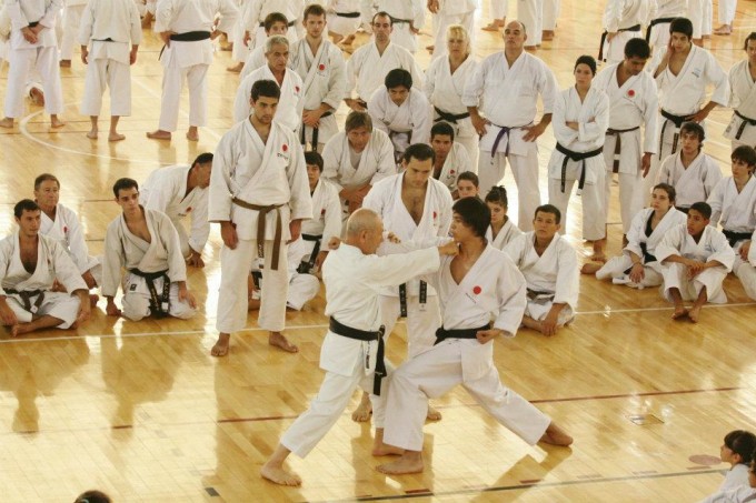 Karate Shoto Camp